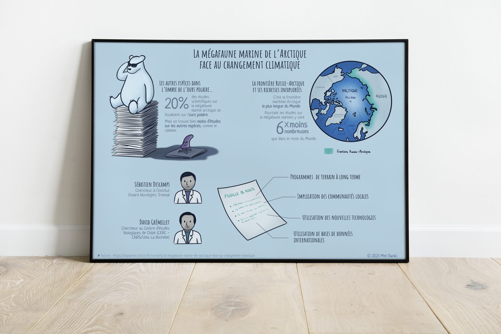 Affiche encadrée de l'infographie sur la Mégafaune marine arctique.