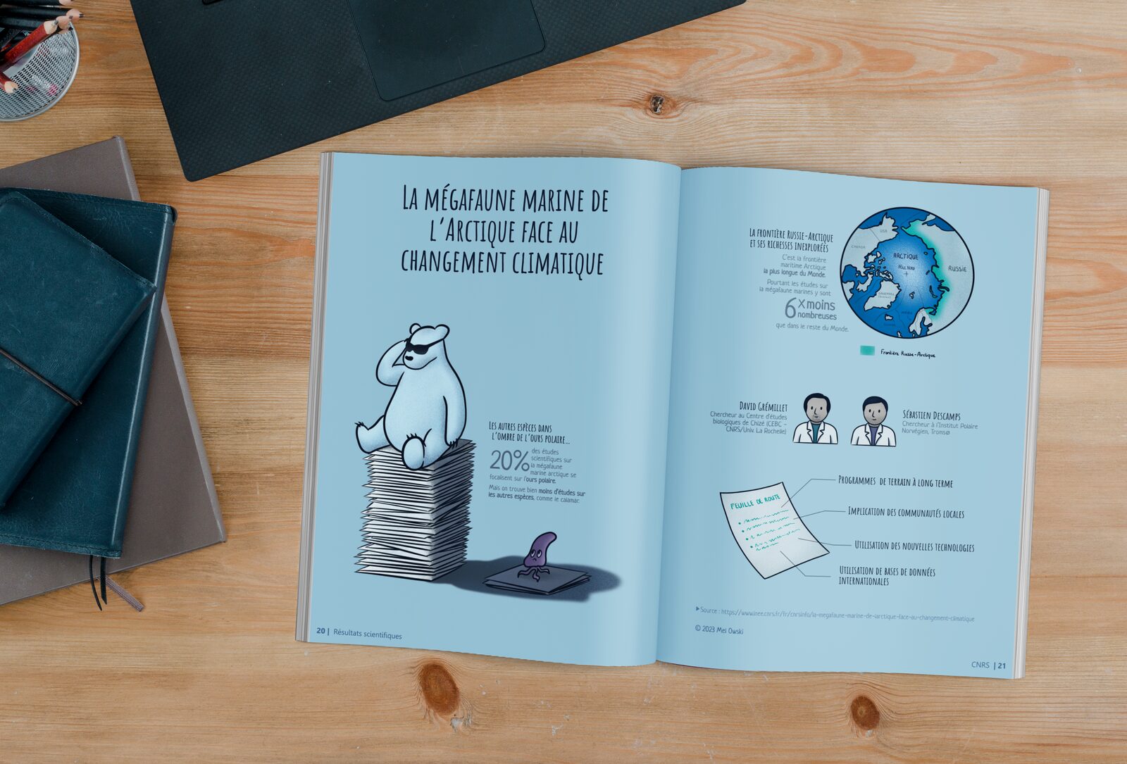 Exemple de rendu de l'infographie sur la Mégafaune marine arctique sur un magazine.