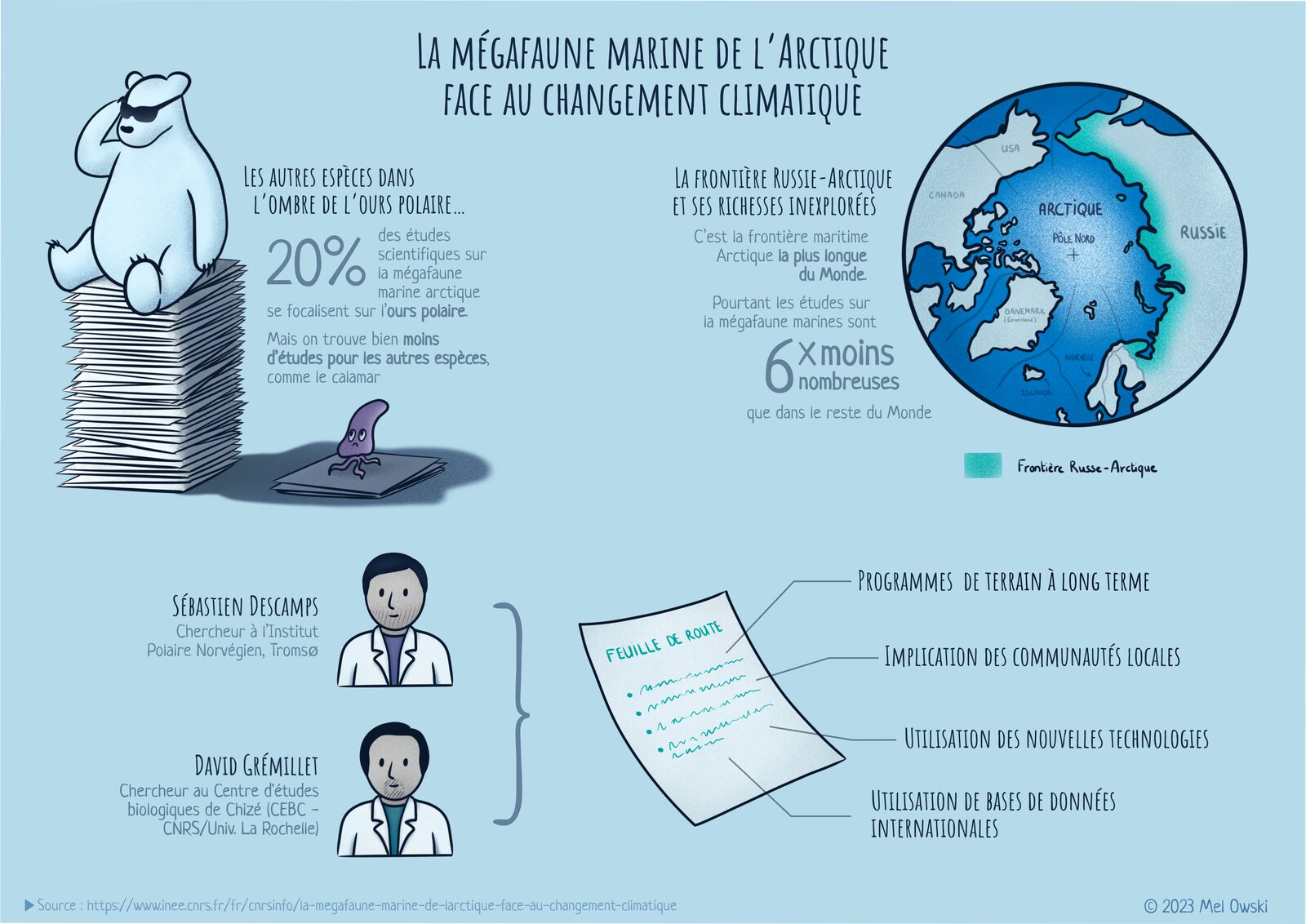 Infographie sur la Mégafaune marine arctique