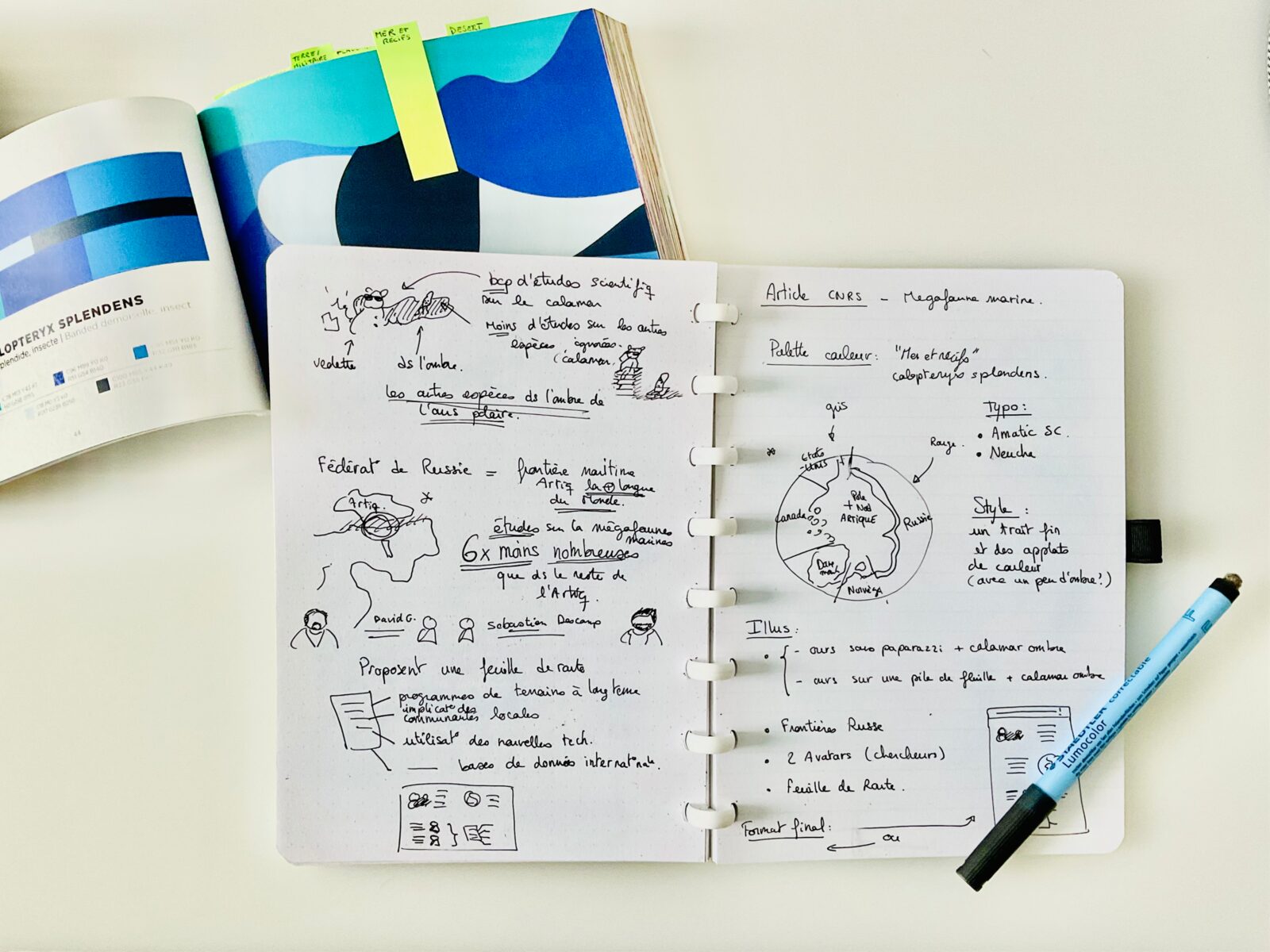 Différents croquis et esquisses de l'infographie.