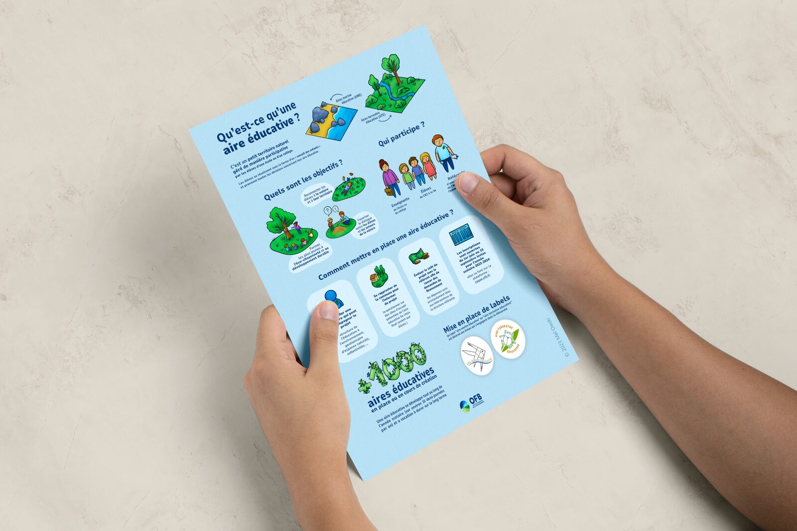 A4 document containing the infographic on educational areas