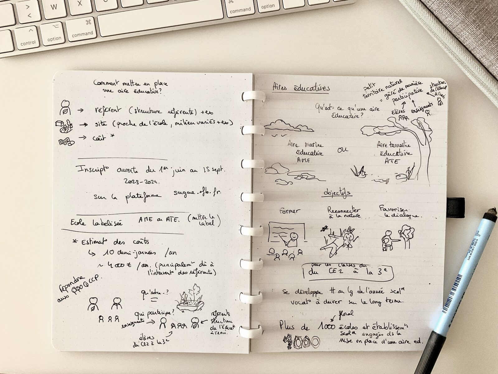 Différents croquis et esquisses de l'infographie.